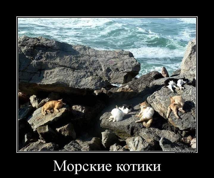 На пляжах КоТтебеля.