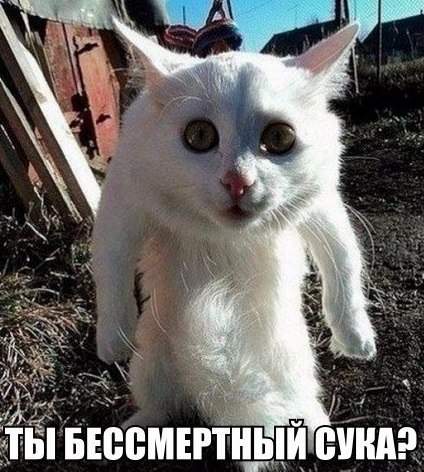 суда иди да