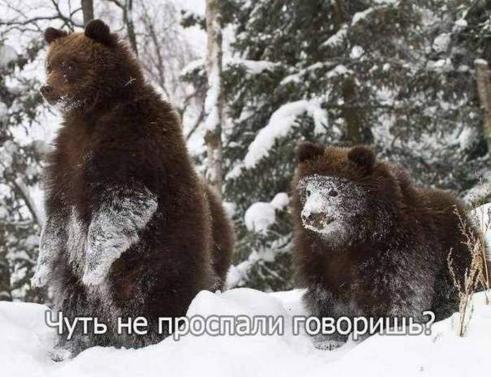 Мужик! Ты куда? А поговорить?