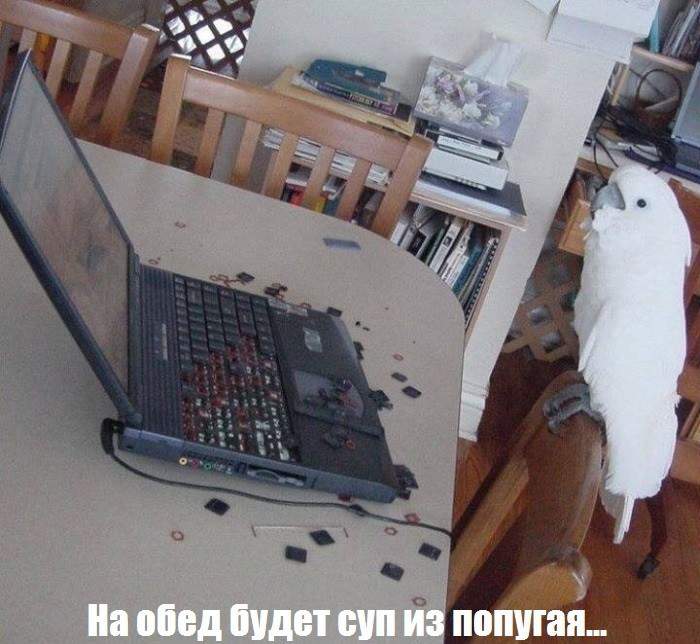 А не фиг было пароль менять!!! Не смог подобрать!