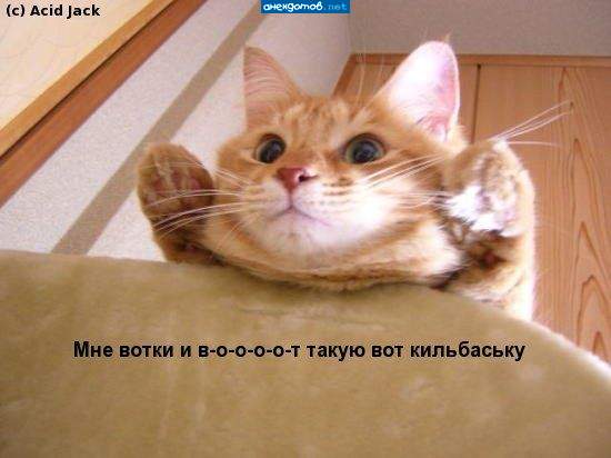 А потом придет дЭбил и напишет, что это чудо-котэ!