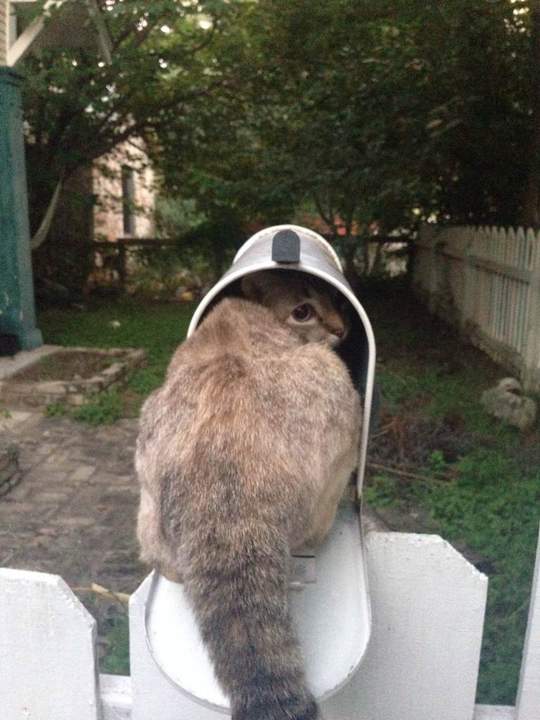 пиши мне на murka@mail.cat