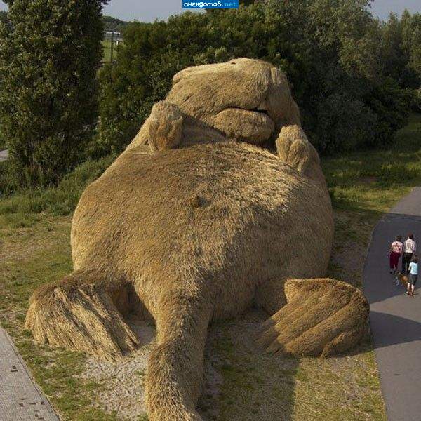 Бобёр, выдыхай!!!
