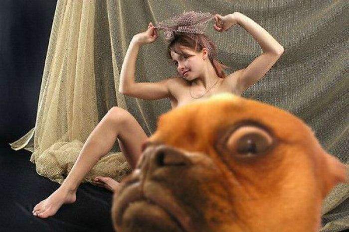 А нужен ты тут?...