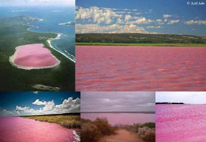Розовое озеро Хиллер в Австралии