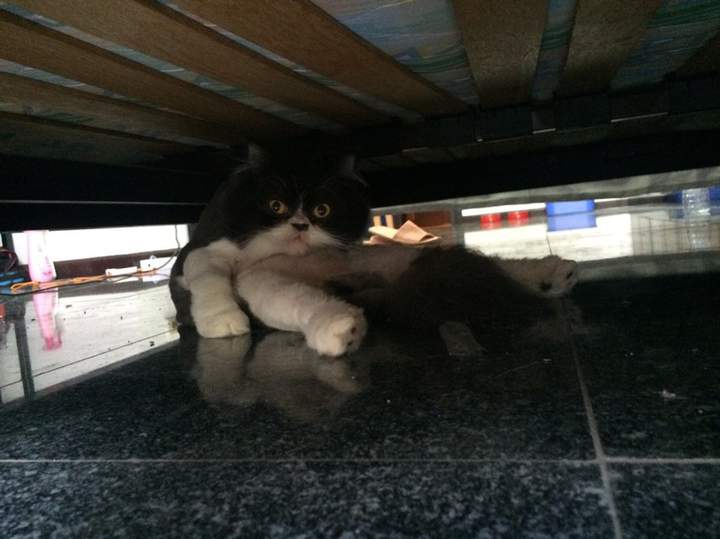 Блин, ну никакого личного пространства...Тебе чо тут надо?