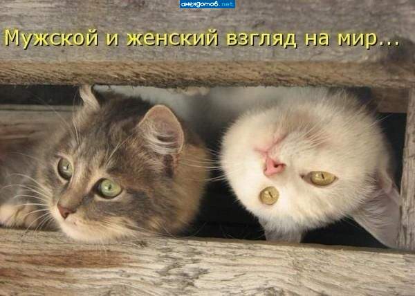 Небо))) - нет, море!!!