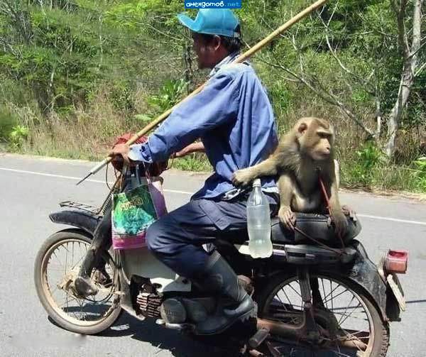Тише, тише, ровнне держи, а то опять грохнемся