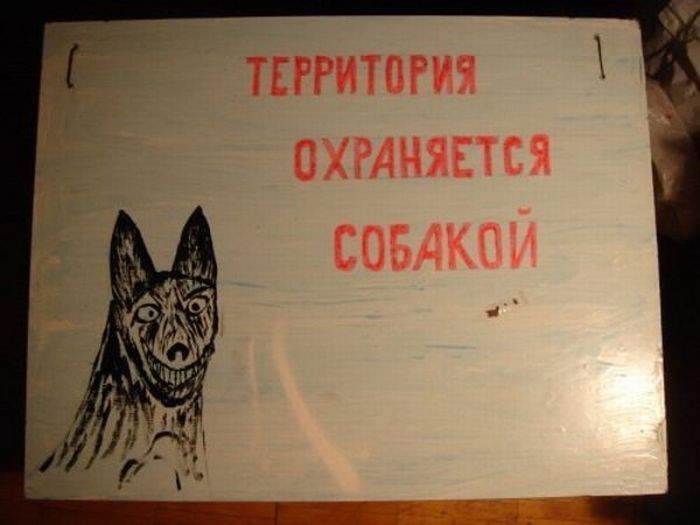 Видимо, сама собака рисовала