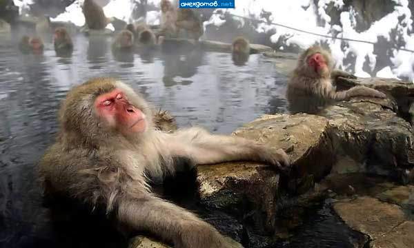 Моя жена на термалах.