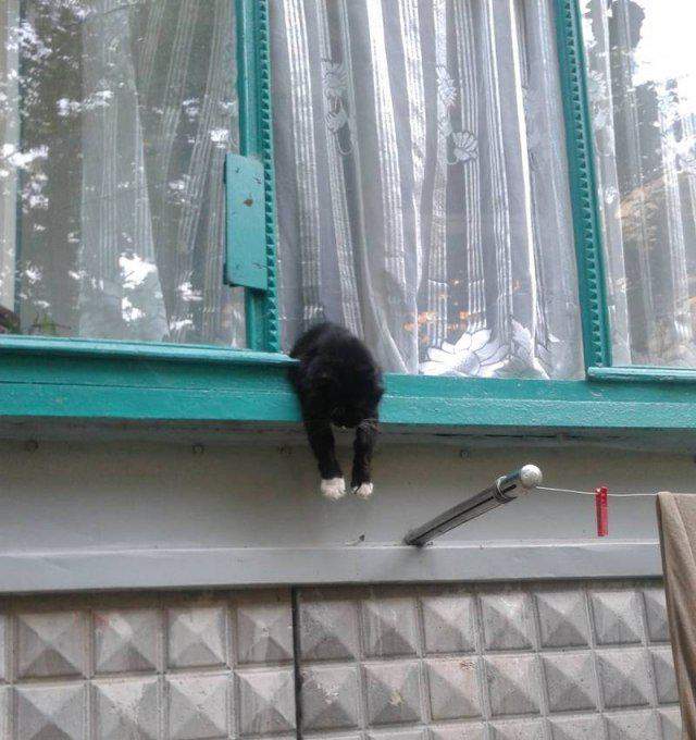 Плохо мне, мужики! Ой, плохо!