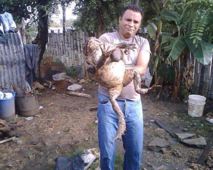 Мужики! Клянусь, даже не поцеловал ни разу! А говорит - беременна...