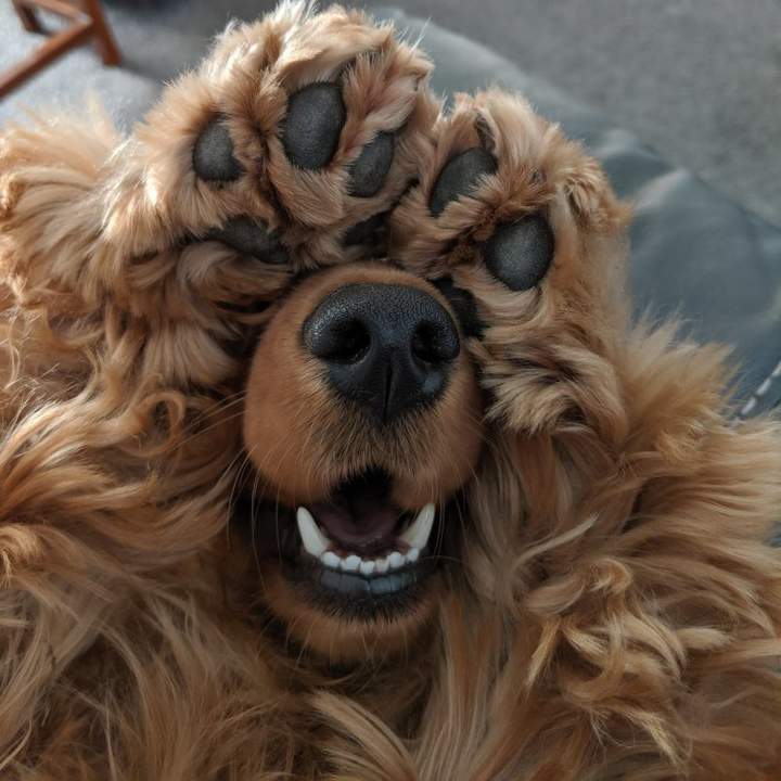 -Ничего не вижу, ничего не слышу , ничего никому не скажу !!
