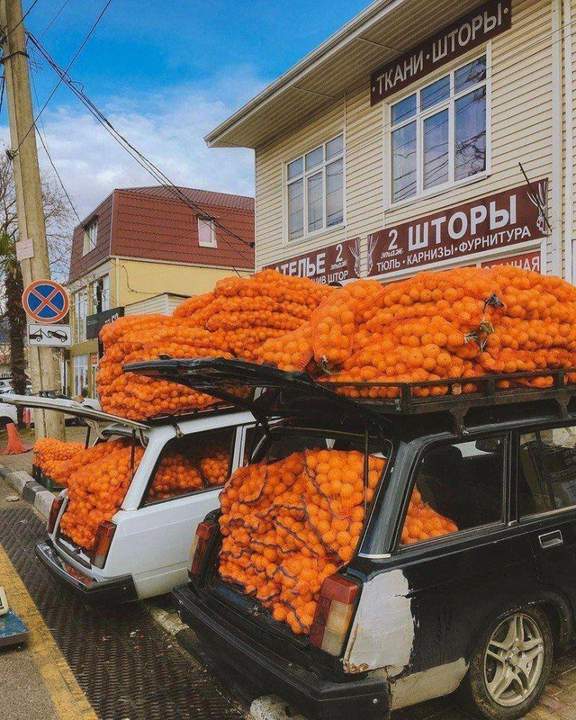 Шторы из апельсинов?