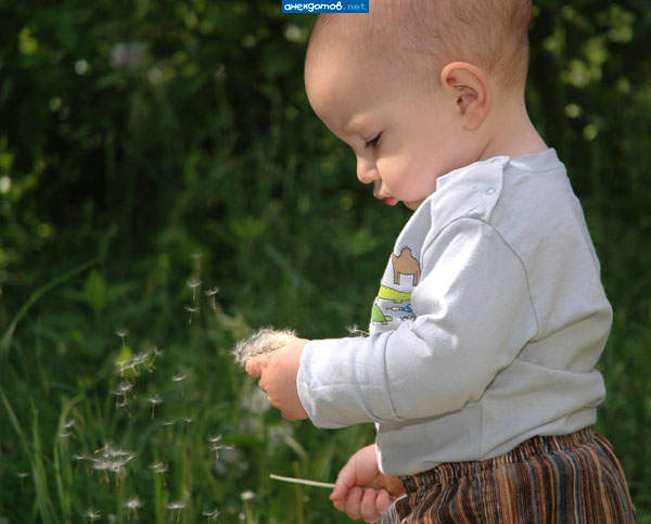����-������� ��� ����� | Funny Photo (children)