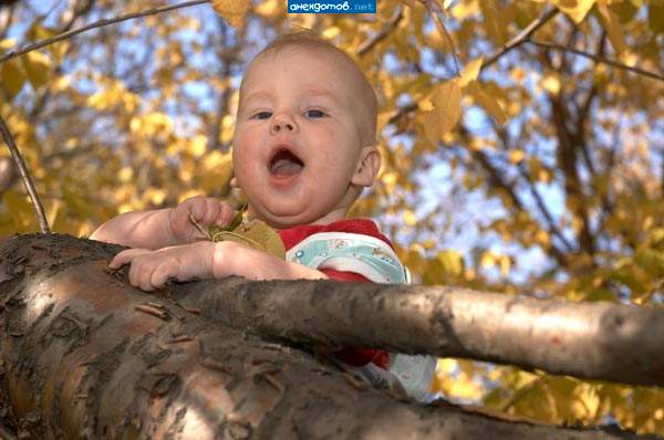 ����-������� ��� ����� | Funny Photo (children)