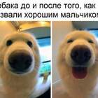 1. обычный день. 2. прибухнул pic