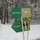 Волков боятся в туалет не ходить pic
