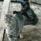 Ух ты! Вот это ж@па! pic