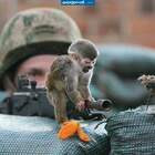 Х*Й ВОЙНЕ! pic