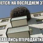 С милым рай — в шалаше pic
