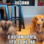 Хозяин! Ваську это...в церковь сносить надо... pic