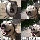 Так и оставь!!! pic