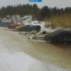 Весна — автокиты массовo выбрасывались на cушу...! pic
