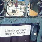Она снимет на камеру, как обезьяны за решеткой кривляются. pic