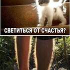 Вместо меня Таня гладит свои волосатые ноги pic