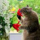 эстет! pic