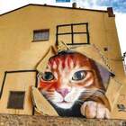 хулиганы нарисовали кота pic