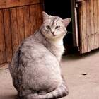 O_o pic