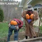 ����-�������